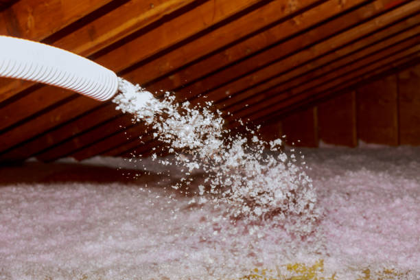 Best Insulation Removal  in White Settlement, TX