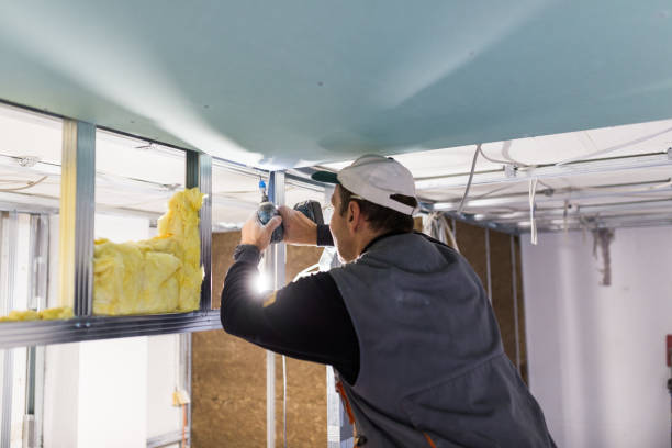 Best Insulation Repair Services  in White Settlement, TX
