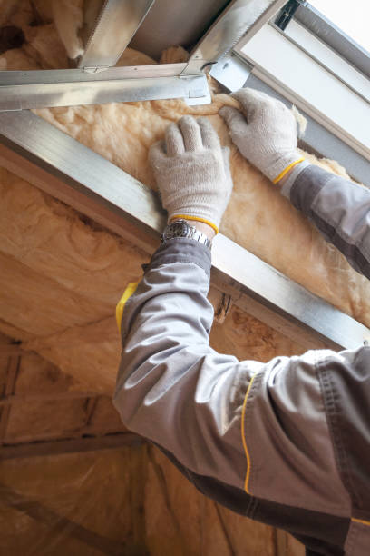 Best Blown-in Insulation  in White Settlement, TX