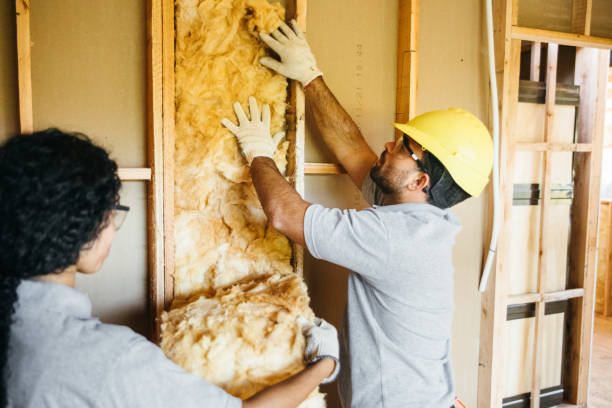 Best Affordable Insulation Services  in White Settlement, TX