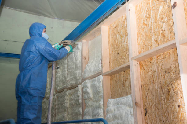 Best Attic Insulation Installation  in White Settlement, TX