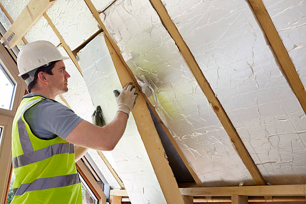 Best Insulation Replacement Services  in White Settlement, TX
